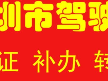 深圳汽車一站式服務指南 代辦過戶、年檢、綠標、違章咨詢與車險辦理